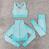 Multi-color Contour Stretch Fit (3PCS)