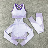 Multi-color Contour Stretch Fit (3PCS)