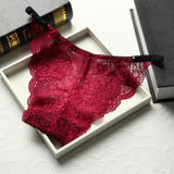 Indigen - 6 Pack Women String Lace